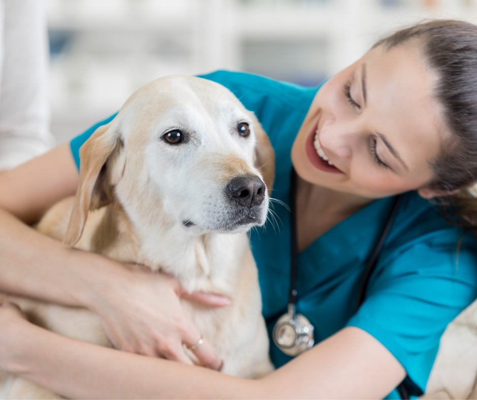 Alabama Veterinary Technician Association To represent and promote