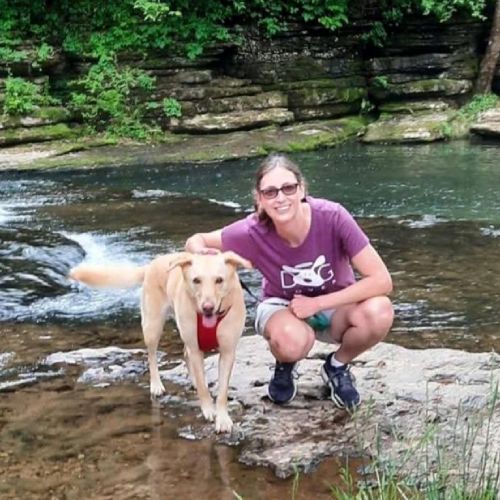 Lechon Camp, LVT, VTS (Anesthesia & Analgesia)